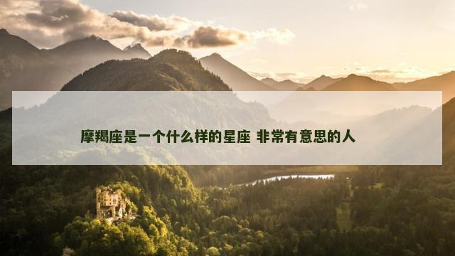 摩羯座是一个什么样的星座 非常有意思的人 　　