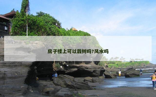 房子楼上可以栽树吗?风水吗