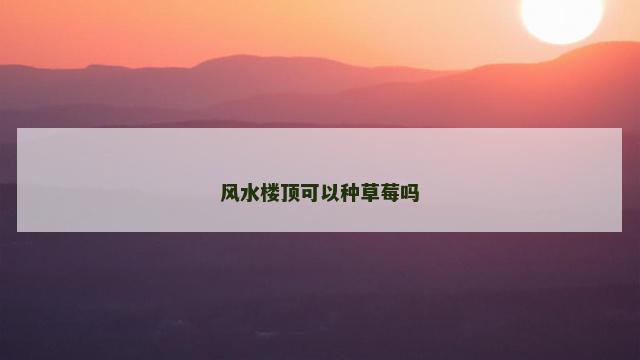 风水楼顶可以种草莓吗