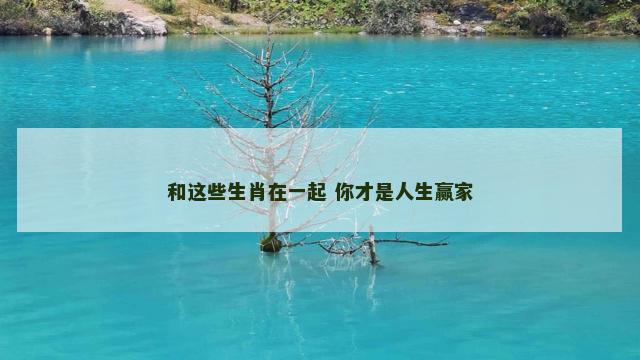 和这些生肖在一起 你才是人生赢家