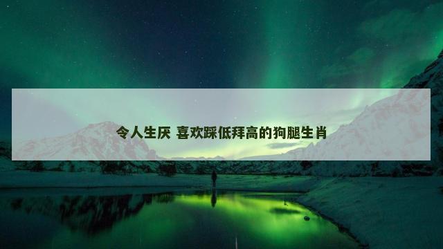 令人生厌 喜欢踩低拜高的狗腿生肖