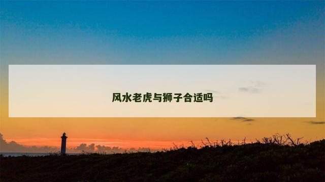 风水老虎与狮子合适吗