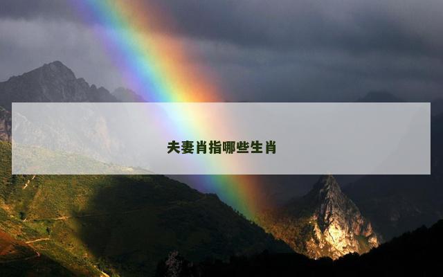 夫妻肖指哪些生肖