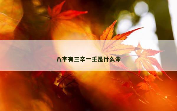 八字有三辛一壬是什么命