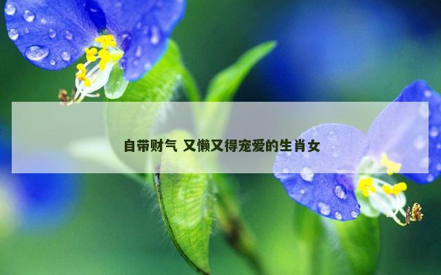 自带财气 又懒又得宠爱的生肖女