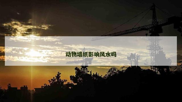动物墙纸影响风水吗