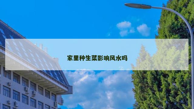 家里种生菜影响风水吗
