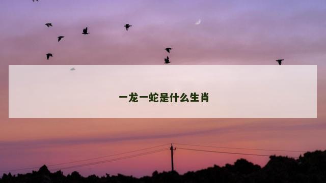 一龙一蛇是什么生肖