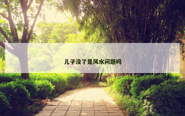 儿子没了是风水问题吗