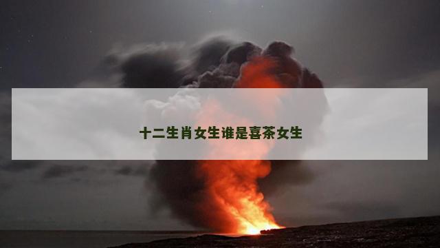 十二生肖女生谁是喜茶女生