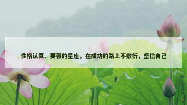 性格认真、要强的星座，在成功的路上不敷衍，坚信自己