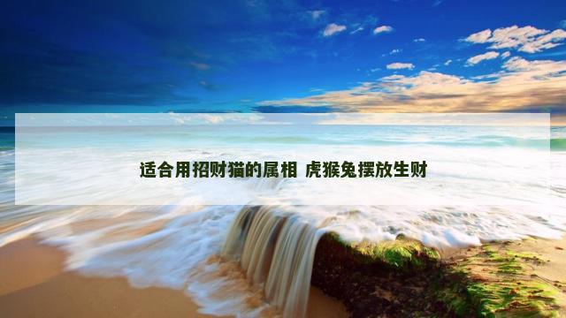 适合用招财猫的属相 虎猴兔摆放生财