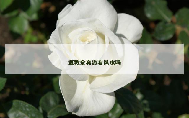 道教全真派看风水吗