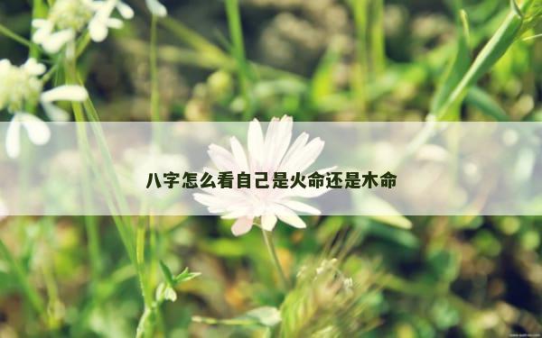 八字怎么看自己是火命还是木命