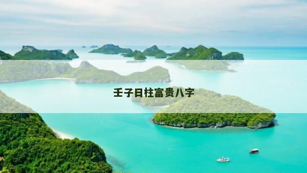 壬子日柱富贵八字