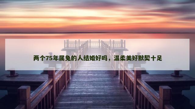 两个75年属兔的人结婚好吗，温柔美好默契十足