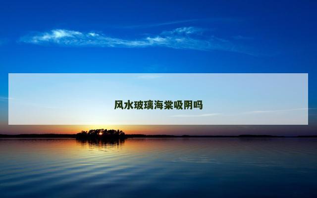 风水玻璃海棠吸阴吗
