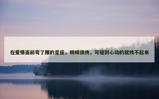 在爱情面前弯了腰的星座，明明很拽，可碰到心动的就拽不起来