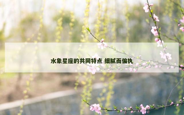 水象星座的共同特点 细腻而偏执