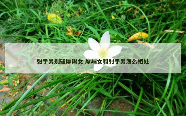 射手男别碰摩羯女 摩羯女和射手男怎么相处