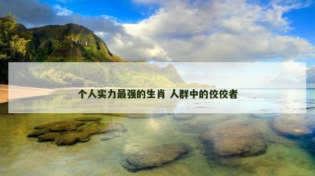 个人实力最强的生肖 人群中的佼佼者