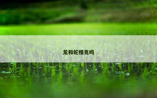 龙和蛇相克吗
