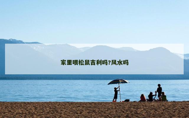 家里喂松鼠吉利吗?风水吗