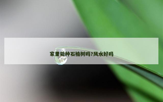 家里能种石楠树吗?风水好吗