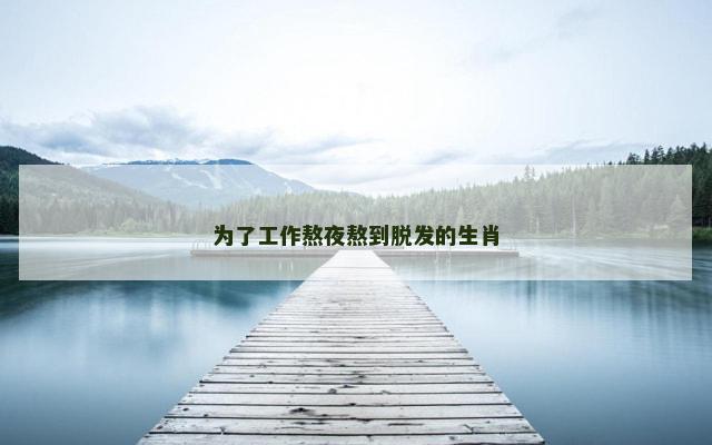 为了工作熬夜熬到脱发的生肖