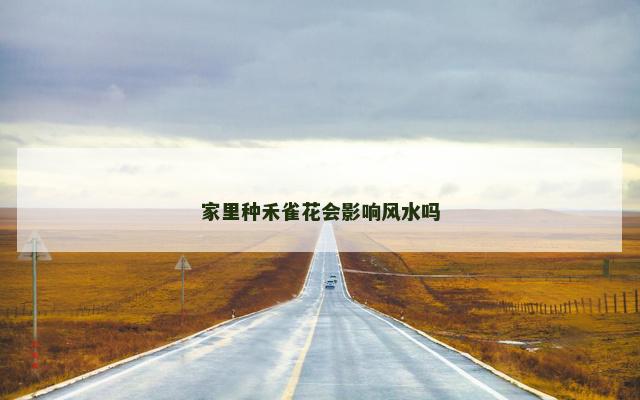 家里种禾雀花会影响风水吗