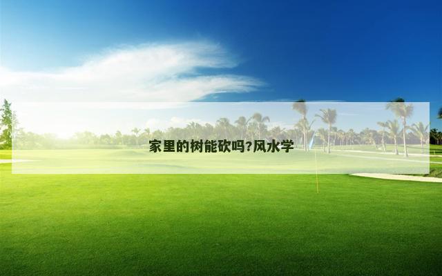 家里的树能砍吗?风水学