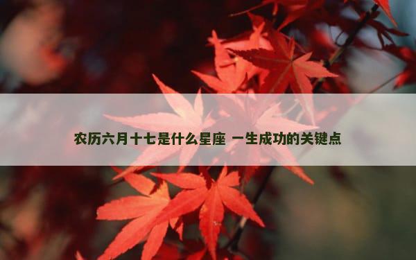 农历六月十七是什么星座 一生成功的关键点