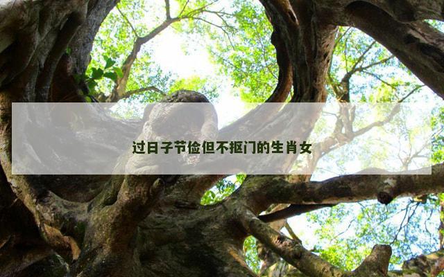 过日子节俭但不抠门的生肖女