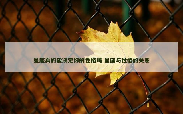星座真的能决定你的性格吗 星座与性格的关系