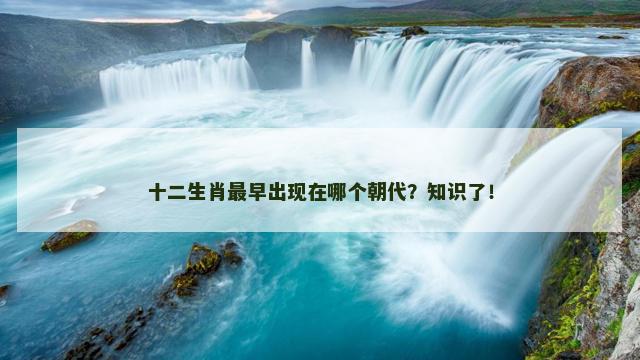 十二生肖最早出现在哪个朝代？知识了！