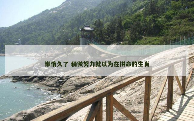 懒惰久了 稍微努力就以为在拼命的生肖