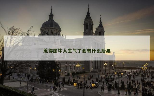 惹得属牛人生气了会有什么后果