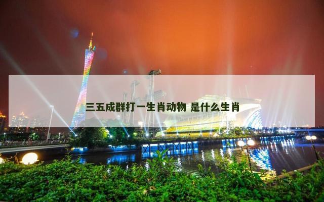 三五成群打一生肖动物 是什么生肖