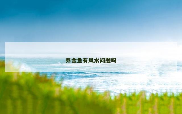 养金鱼有风水问题吗