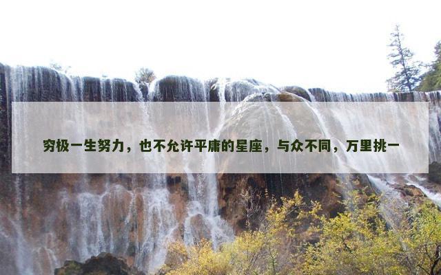 穷极一生努力，也不允许平庸的星座，与众不同，万里挑一