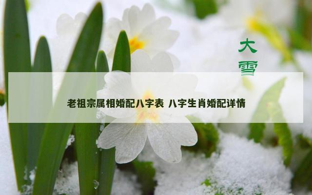 老祖宗属相婚配八字表 八字生肖婚配详情