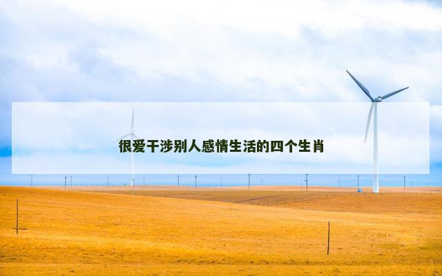很爱干涉别人感情生活的四个生肖