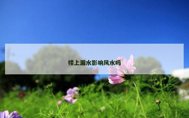 楼上漏水影响风水吗