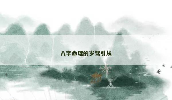八字命理的岁驾引从