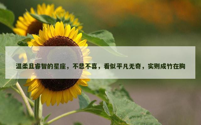 温柔且睿智的星座，不悲不喜，看似平凡无奇，实则成竹在胸