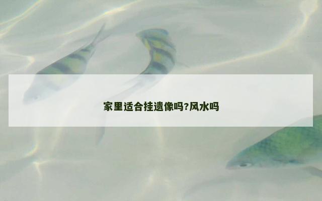 家里适合挂遗像吗?风水吗