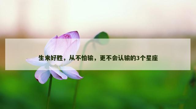 生来好胜，从不怕输，更不会认输的3个星座