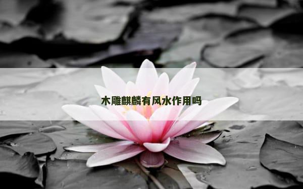 木雕麒麟有风水作用吗