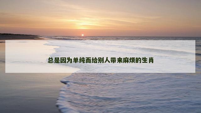 总是因为单纯而给别人带来麻烦的生肖