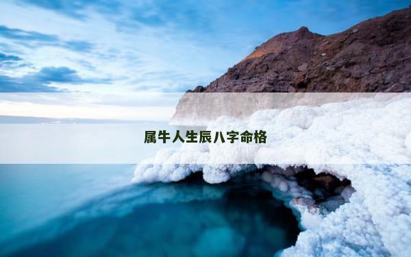 属牛人生辰八字命格